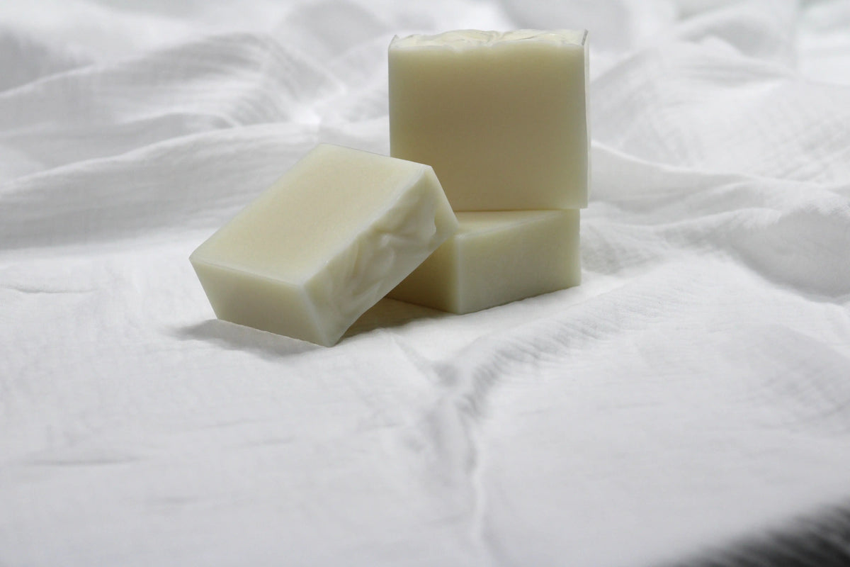 Botanical Trio Bundle | Shea Butter