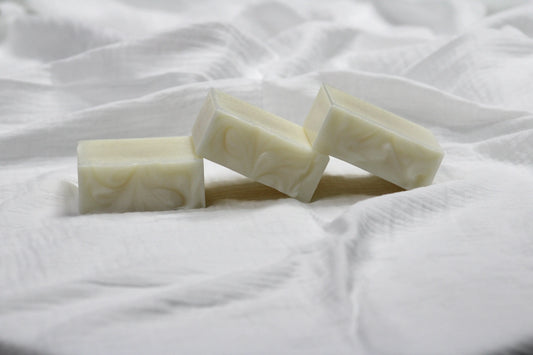 Botanical Trio Bundle | Shea Butter