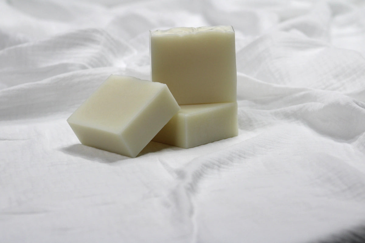 Botanical Trio Bundle | Shea Butter